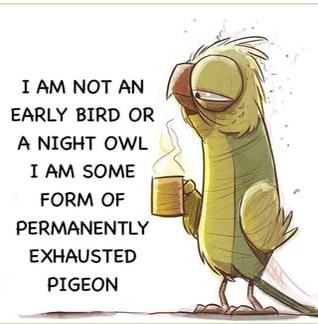 Not an early bird…or a night owl…am I&nbsp;enough.