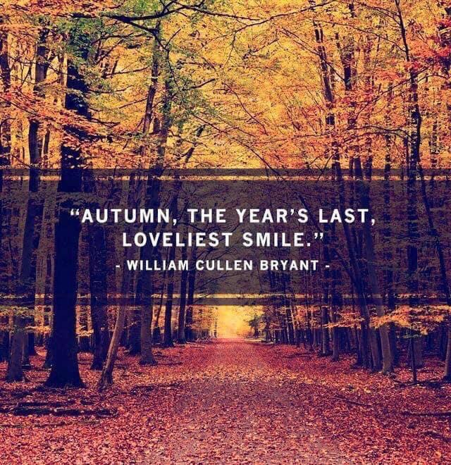 Welcome back fall!&nbsp;🍂🍁