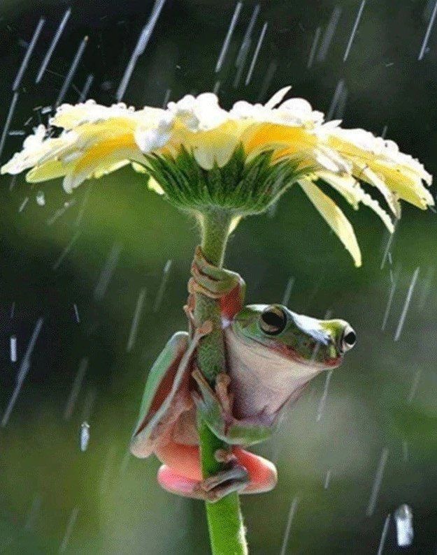 Rain, motherhood and&nbsp;Cabernet…