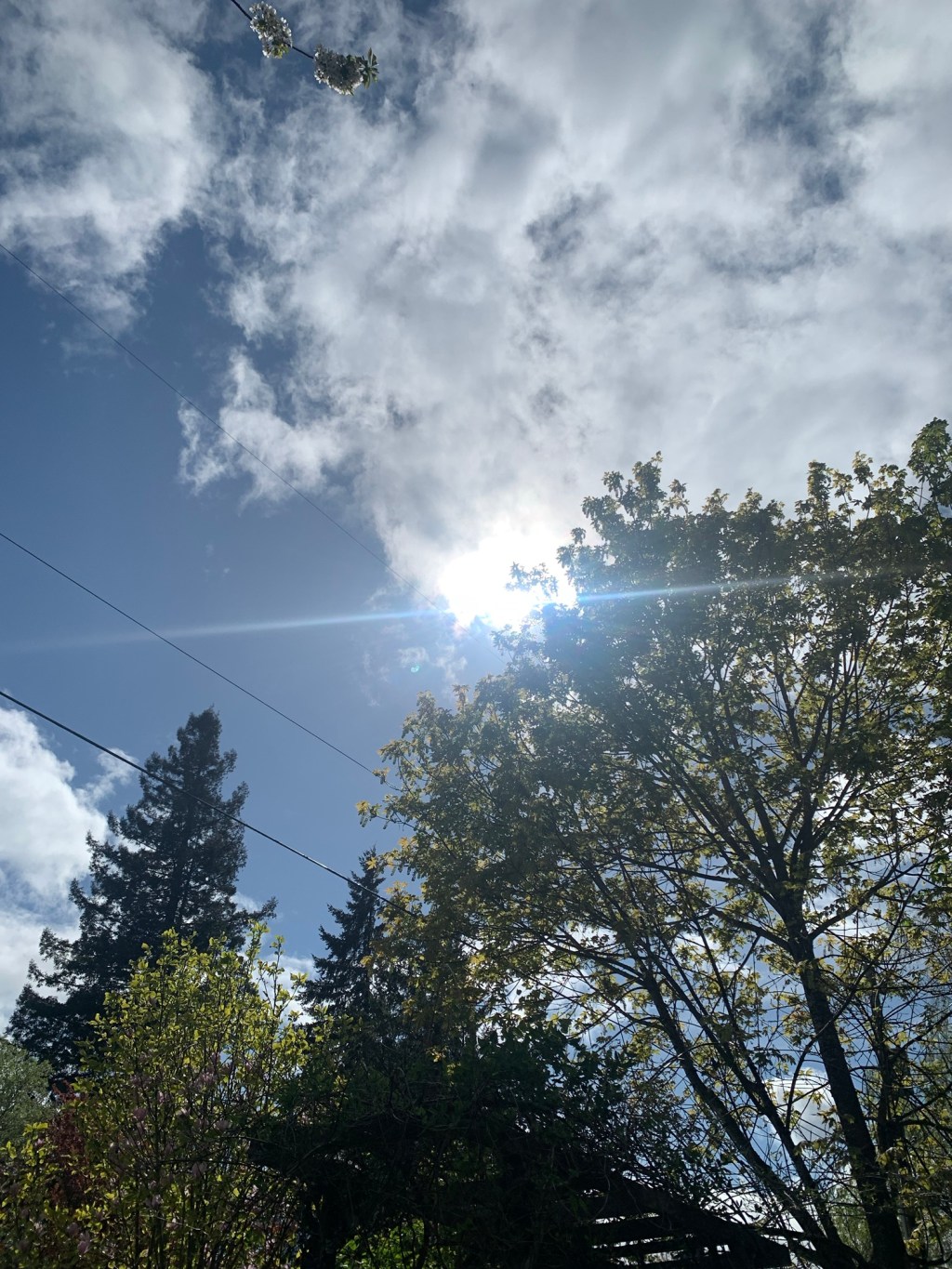 Love heals all&nbsp;things…