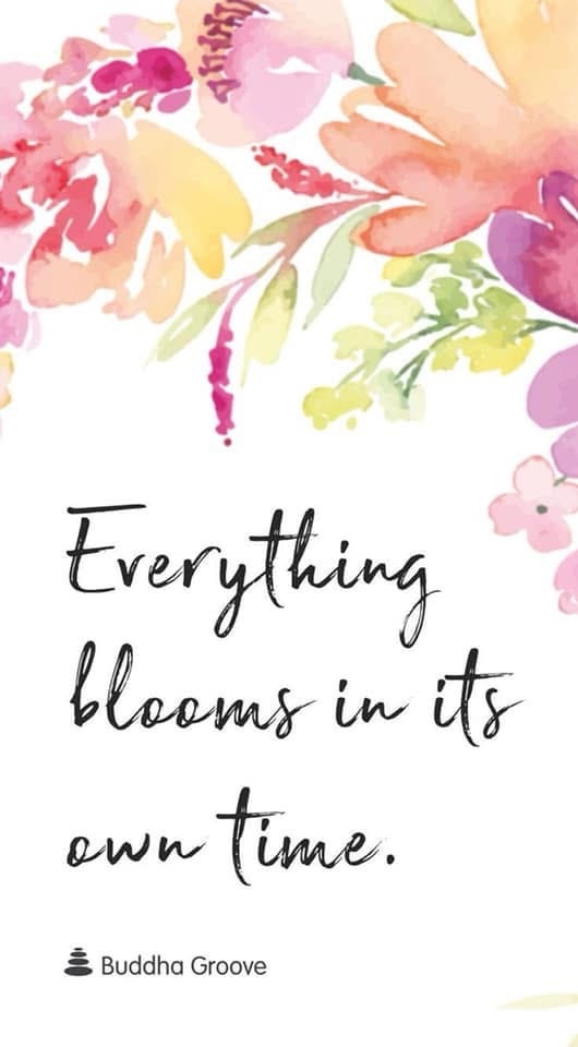 Sunshine, Chardonnay and blooming (persevering) in your time!